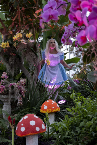 RBG After Dark: Alice in Bloomland (19+)-event-photo