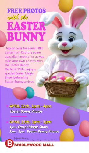 EASTER BUNNY PHOTOS-event-photo