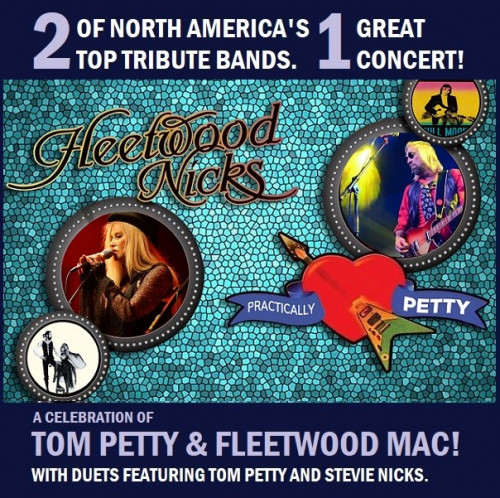 Rock for a Cure: Join Fleetwood Nicks & Practically Petty to Turn Up the Volume Against Diabetes!