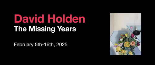 The Missing Years by David Holden