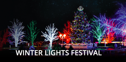 Winter Lights Festival and Santa Claus Parade-event-photo