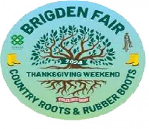 Brigden Fair