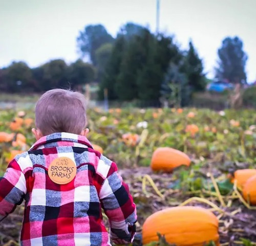 Fall Fun Festival at Brooks Farm