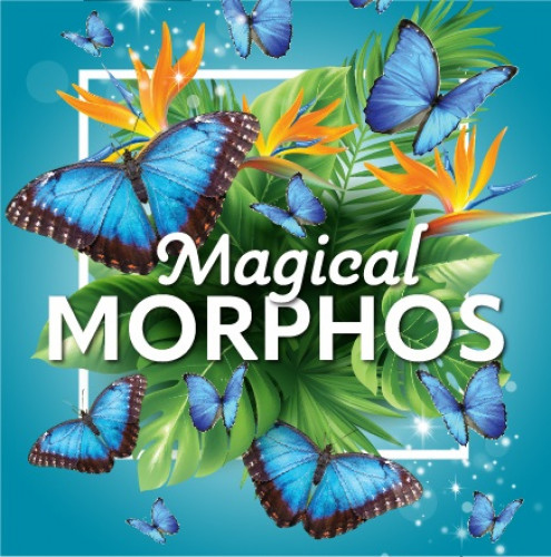 MARCH BREAK 2024 – MAGICAL MORPHOS-event-photo