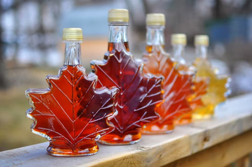 Springwater Maple Syrup Festival