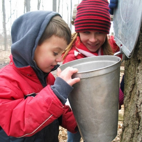 MAPLE DAYS AT THE VILLAGE-event-photo