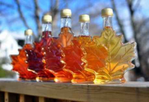 Maple Syrup in the Park-event-photo