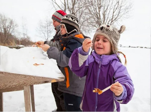 Maple Syrup Festival-event-photo