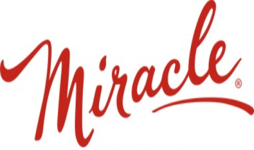 Miracle - Holiday Bar Toronto-event-photo