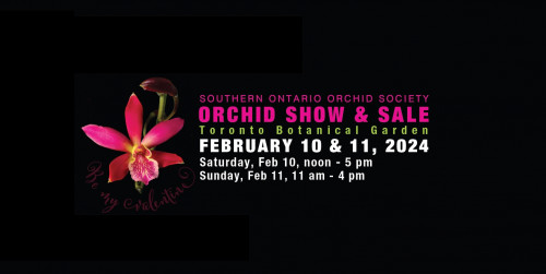 Orchid Show and Sale