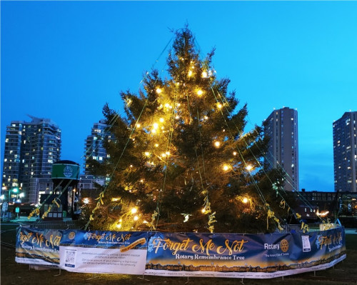 Tree of Remembrance-event-photo