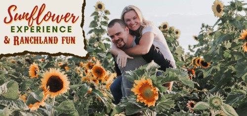 Sunflower Experience and Ranchland Fun